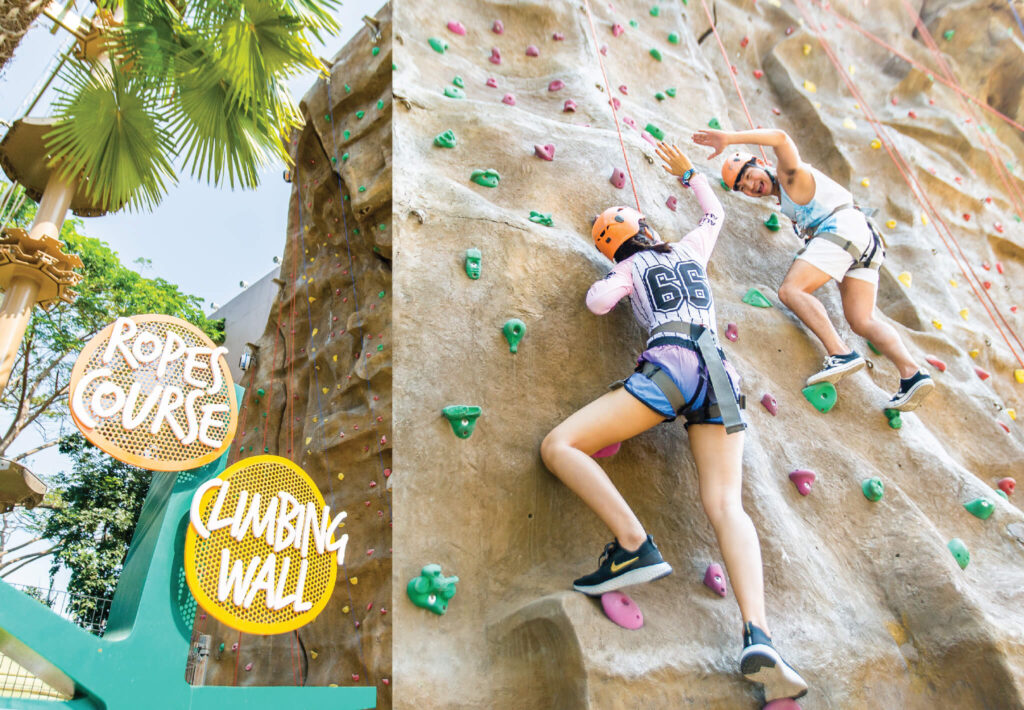 VN-web-climbingwall