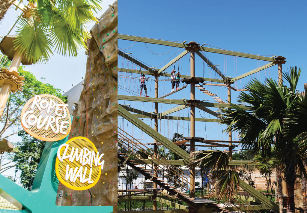 VN-web-ropescourse